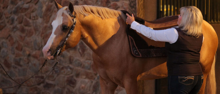 Woman putting on horse's tack.