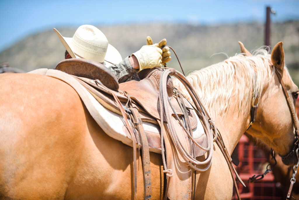 Saddle Shims