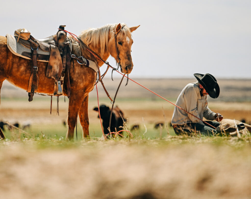 Roping