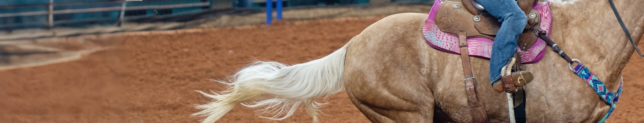 Custom Wool Saddle Pads